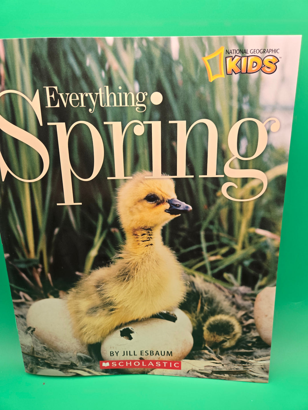 Blossoming Into Spring: A Reading Box of Flowers and Growth! Ages 5-7