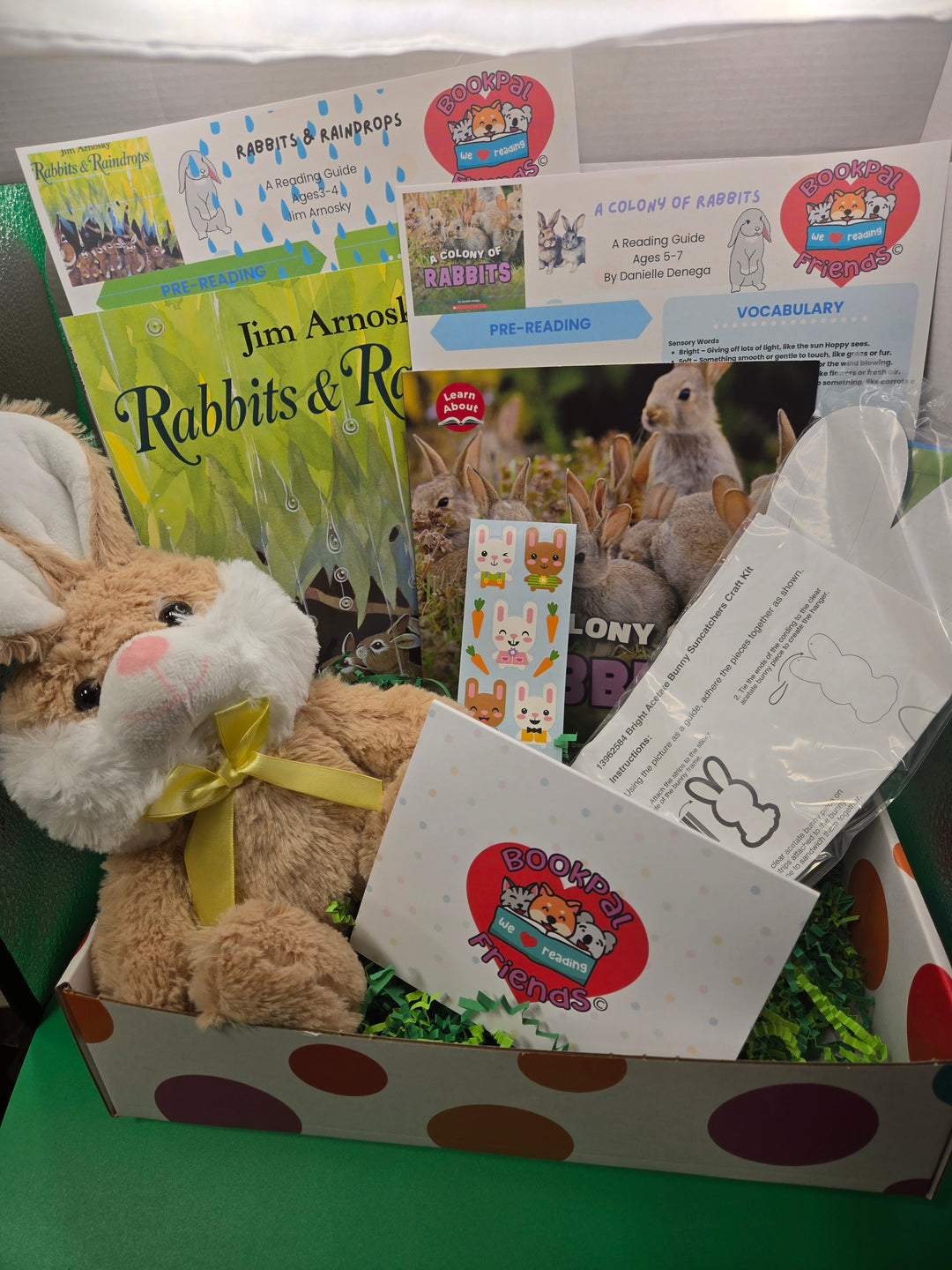 Hopping into Reading: Rabbit Tales and Adventures Box School Age (5-7)