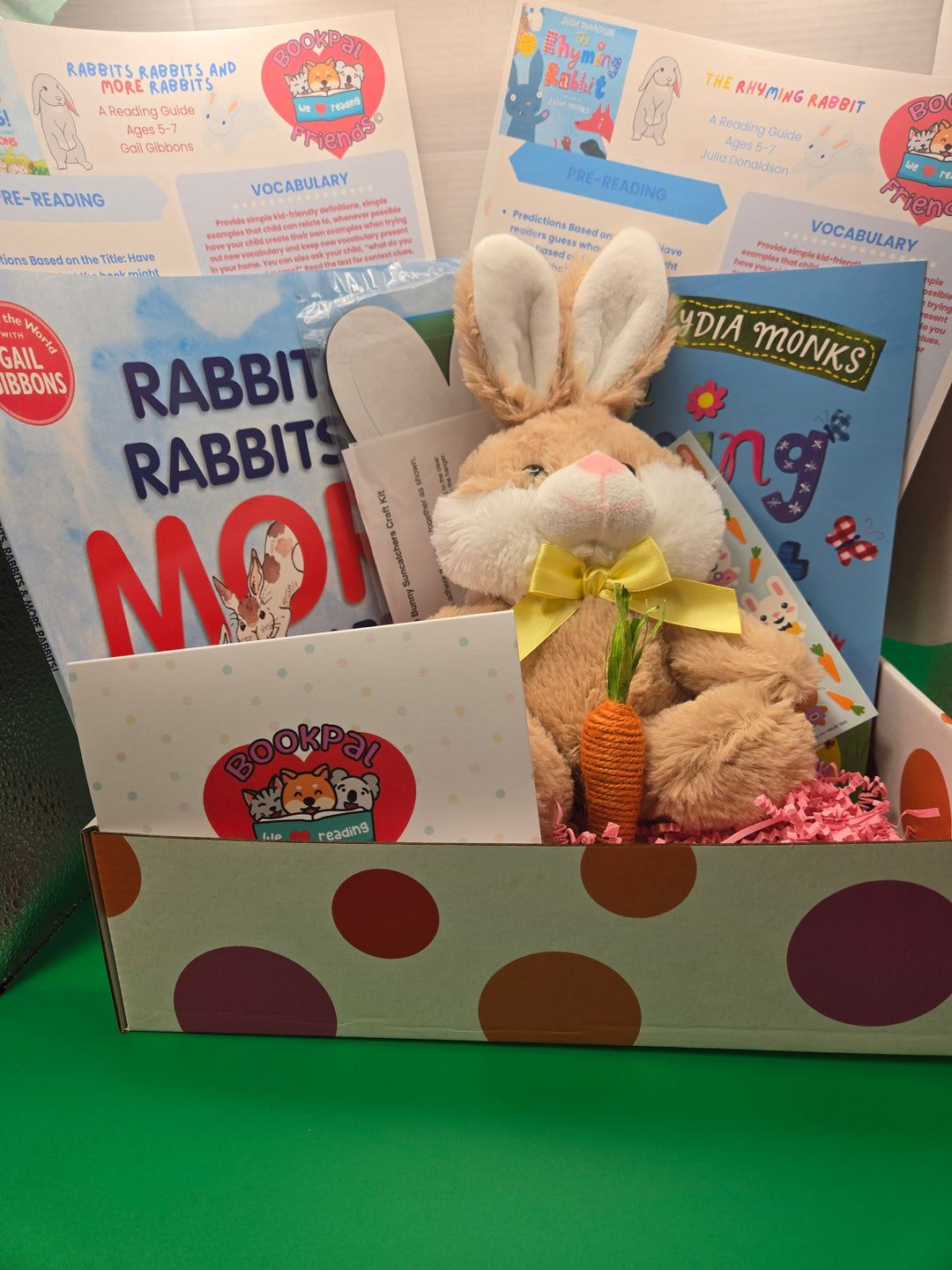 Rabbit Reads: A Hopping Good Adventure Box School Age (5-7)