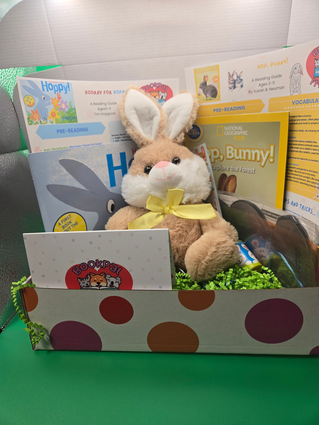 Hop into Learning: Bunny Reading Box for Little Explorers Preschool Age (3-4)