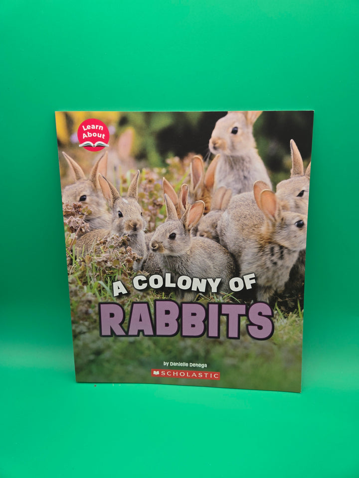 Hopping into Reading: Rabbit Tales and Adventures Box School Age (5-7)