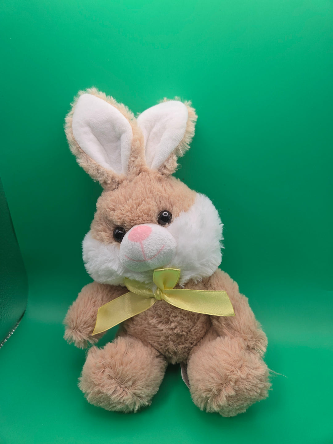 Hopping into Reading: Rabbit Tales and Adventures Box School Age (5-7)