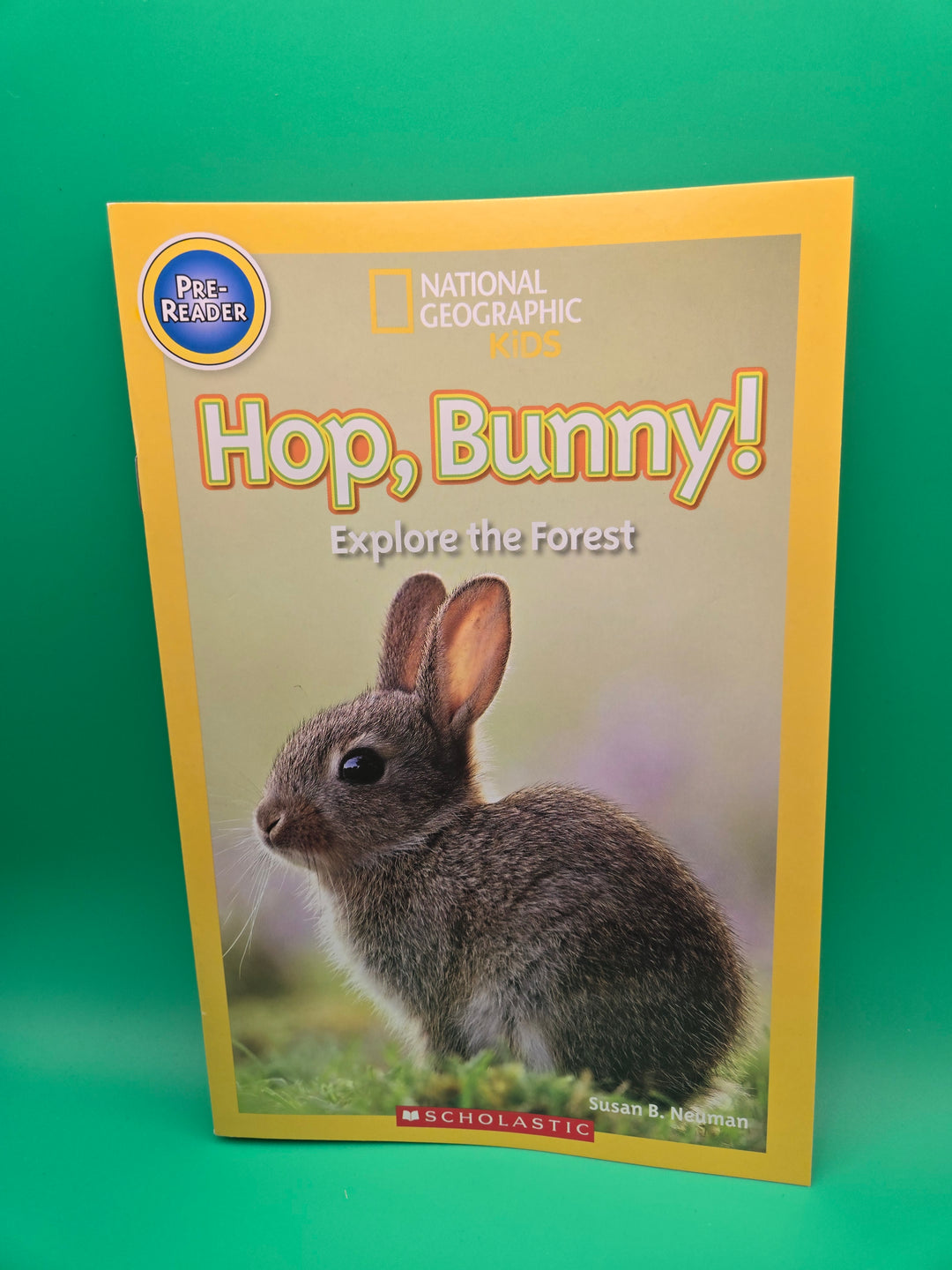 Hop into Learning: Bunny Reading Box for Little Explorers Preschool Age (3-4)