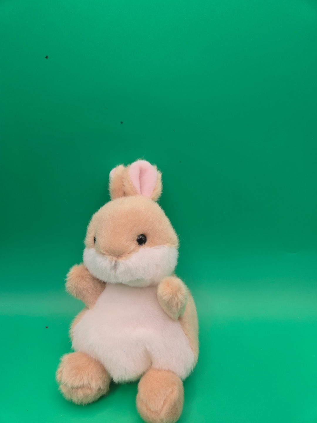 Snuggles and Splash: Bunny-Themed Reading Box for Tiny Tots Infants and Toddlers (0-2)