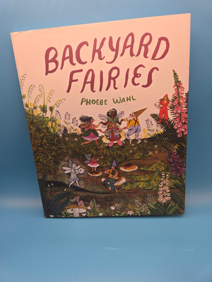 Enchanted Fairy  Reading Box Preschool Age (3-4)