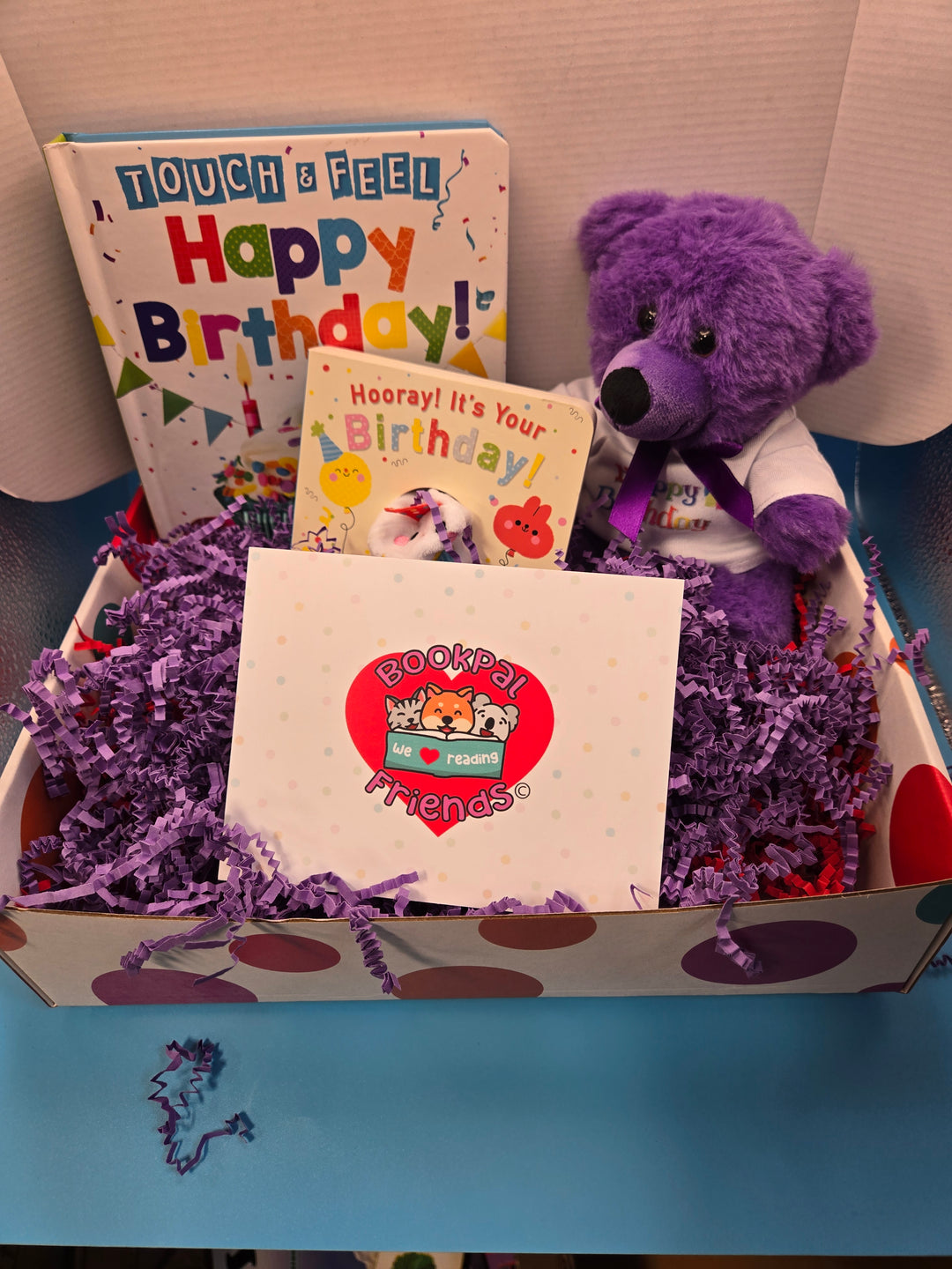 Bear-y Birthday Box Infants and Toddlers Age 0-2