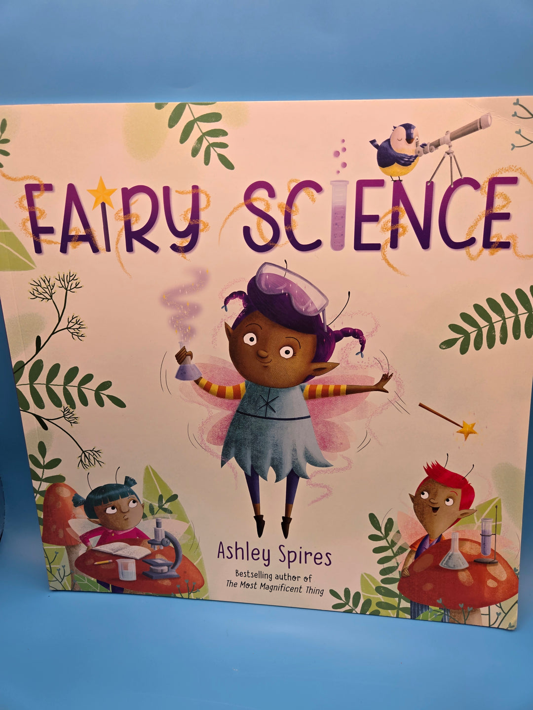 Enchanted Fairy Reading Box School Age (5-7)