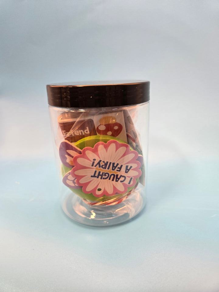 Enchanted Fairy  Reading Box Preschool Age (3-4)