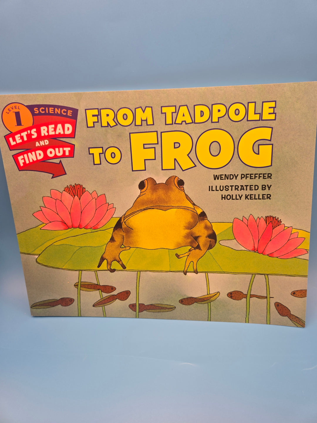 Metamorphosis Magic: A Reading Box of Transformation! Ages 5-7