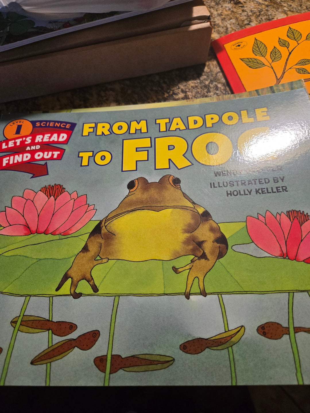 Leap into Learning: A Froggy Adventure Reading Box! Ages 5-7