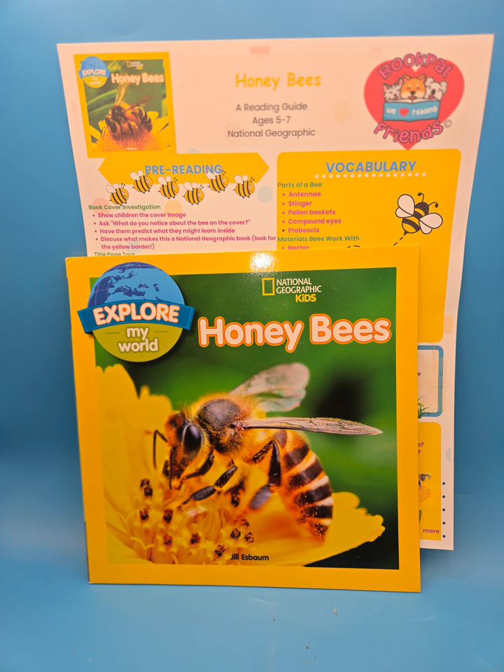 🐝 Buzz into Adventure Reading Box! School-Age (5-7)