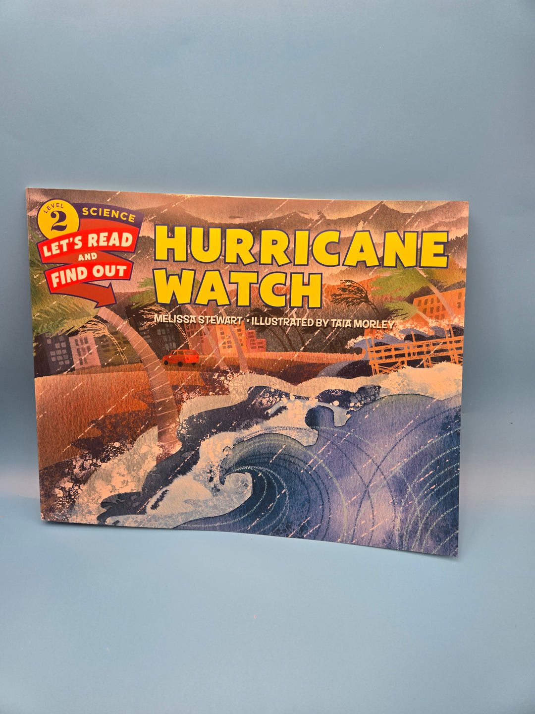 "Stormy Skies: A Whirlwind Reading Adventure!" Preschool and School Age box ages (3-7)