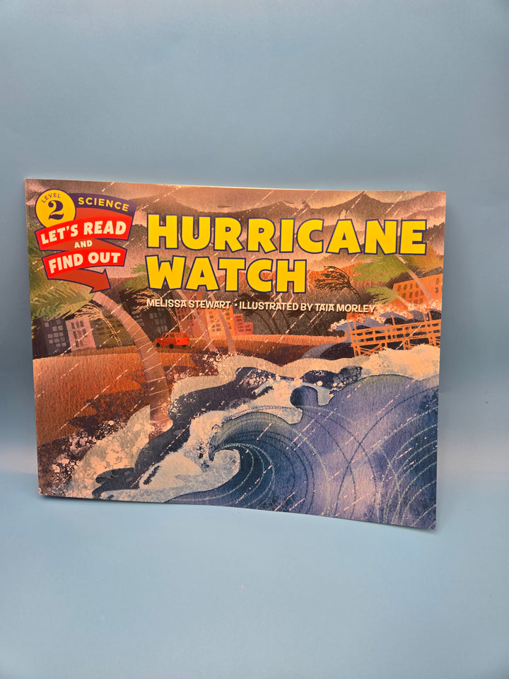 "Stormy Skies: A Whirlwind Reading Adventure!" Preschool and School Age box ages (3-7)