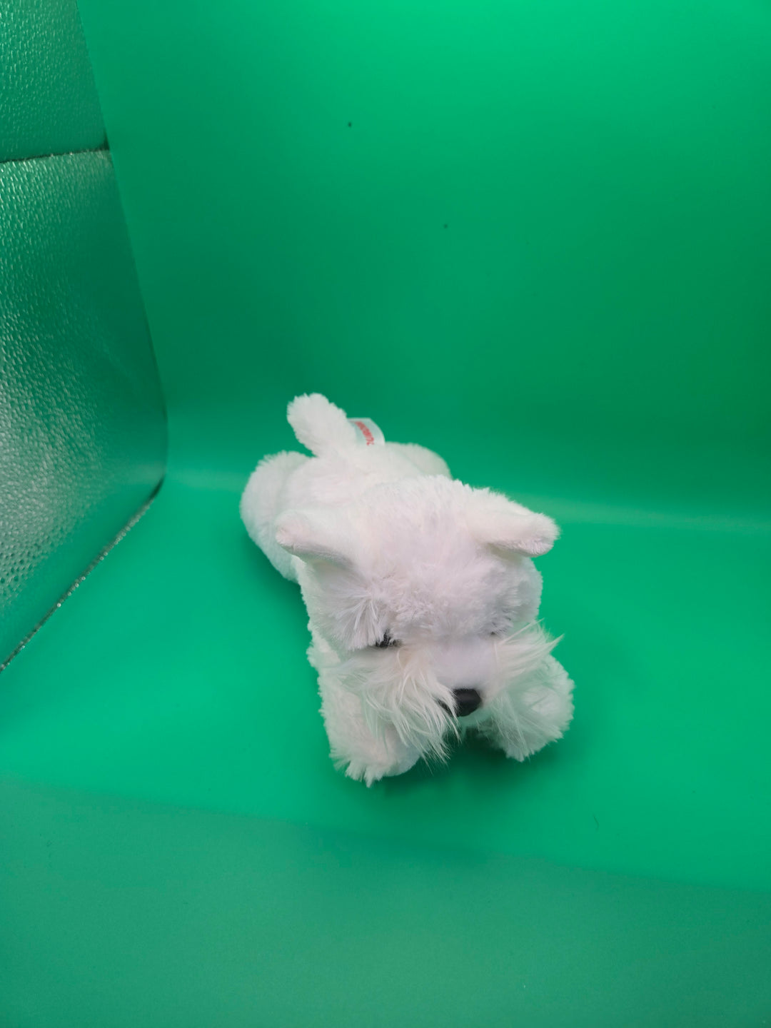 Westie Adventures Reading Box Preschool (Ages 3-4)