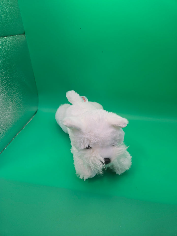 Westie Adventures Reading Box Preschool (Ages 3-4)