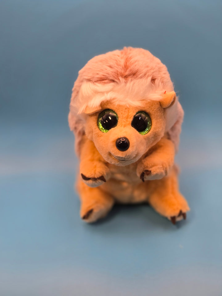 Reading Rays: A Summertime Adventure Preschool Age (3-4)