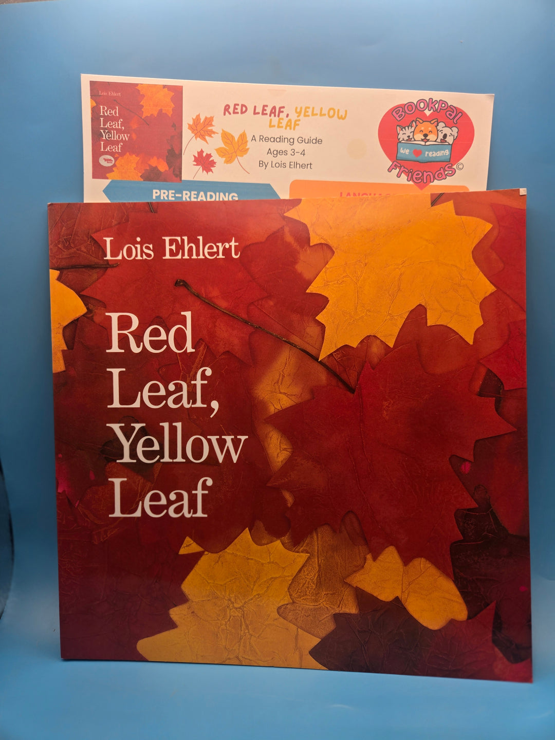 Maple Moments: Read, Craft & Cuddle" Celebrate fall with stories, snuggles, and leafy fun. School Age (3-4) (Copy)