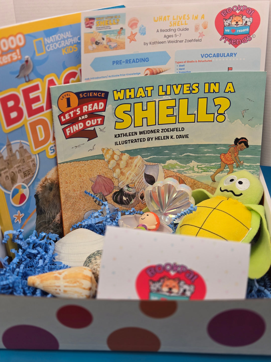 Shell & Shore Reading Box School Age (5-7)