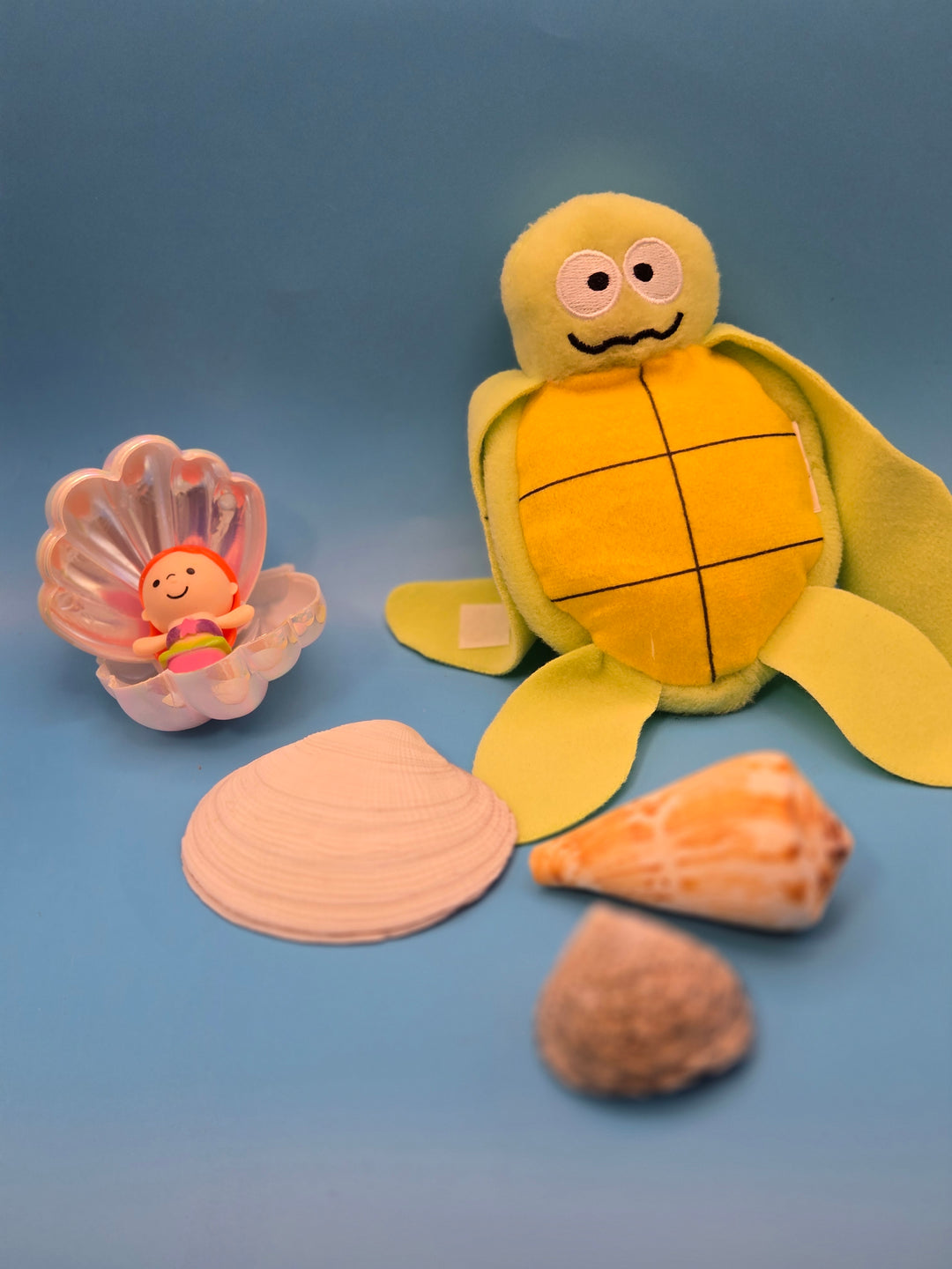 Shell & Shore Reading Box School Age (5-7)