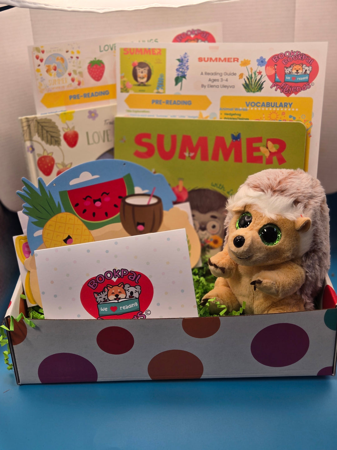 Reading Rays: A Summertime Adventure Preschool Age (3-4)