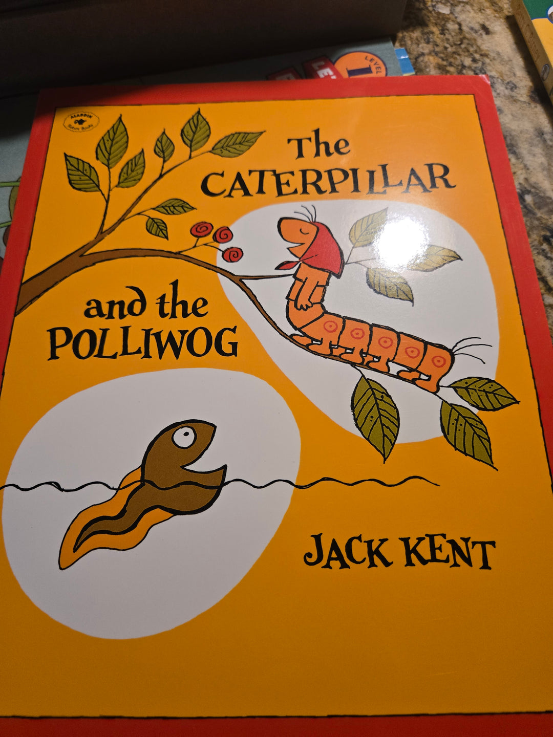 Leap into Learning: A Froggy Adventure Reading Box! Ages 5-7