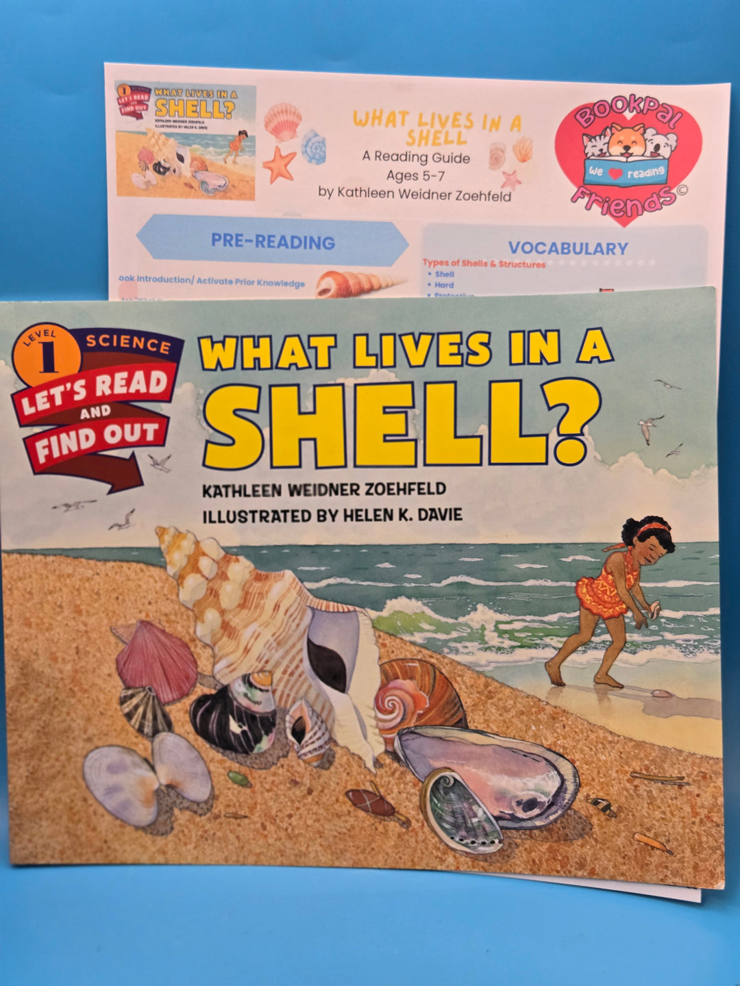 Shell & Shore Reading Box School Age (5-7)