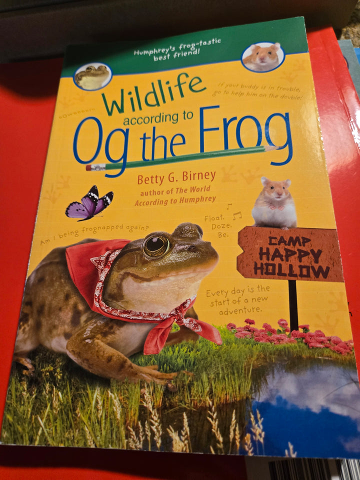 Leap into Learning: A Froggy Adventure Reading Box! Ages 5-7
