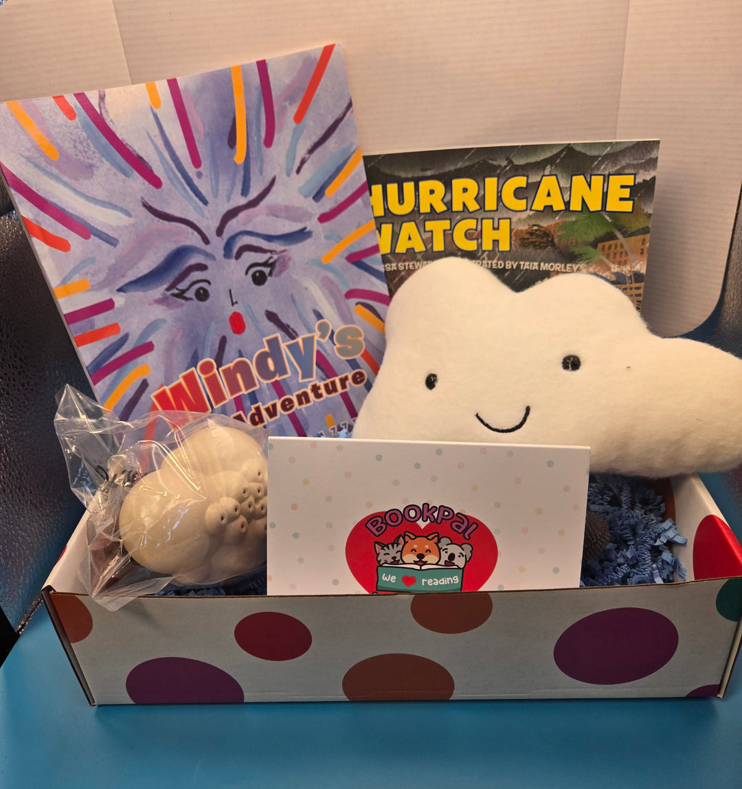 "Stormy Skies: A Whirlwind Reading Adventure!" Preschool and School Age box ages (3-7)