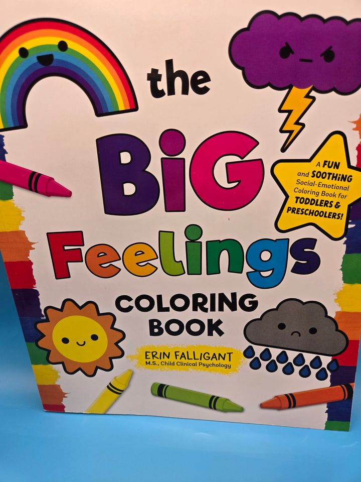 Mood Monsters & Me – A fun way to meet and understand emotions. Toddlers and Preschool Age 2-3