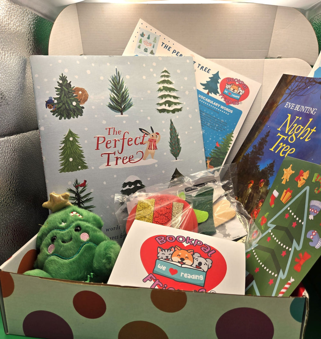 2024 Christmas Book Box - School Ages (5-7)