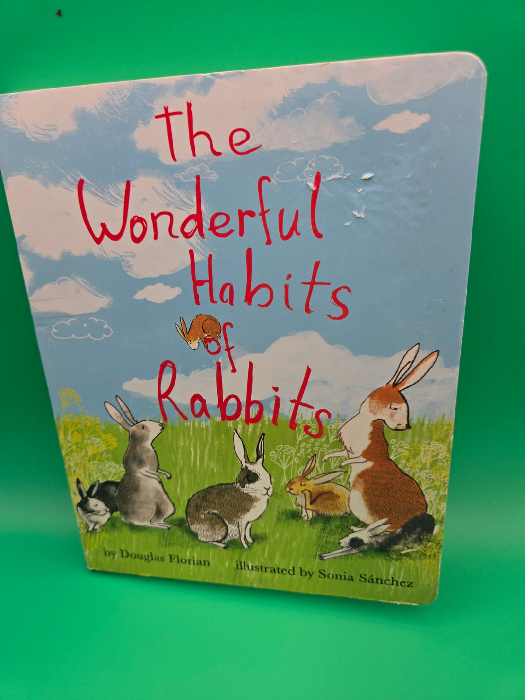 Little Hoppers: Bunny-Themed Reading Box Preschool Age (3-4)