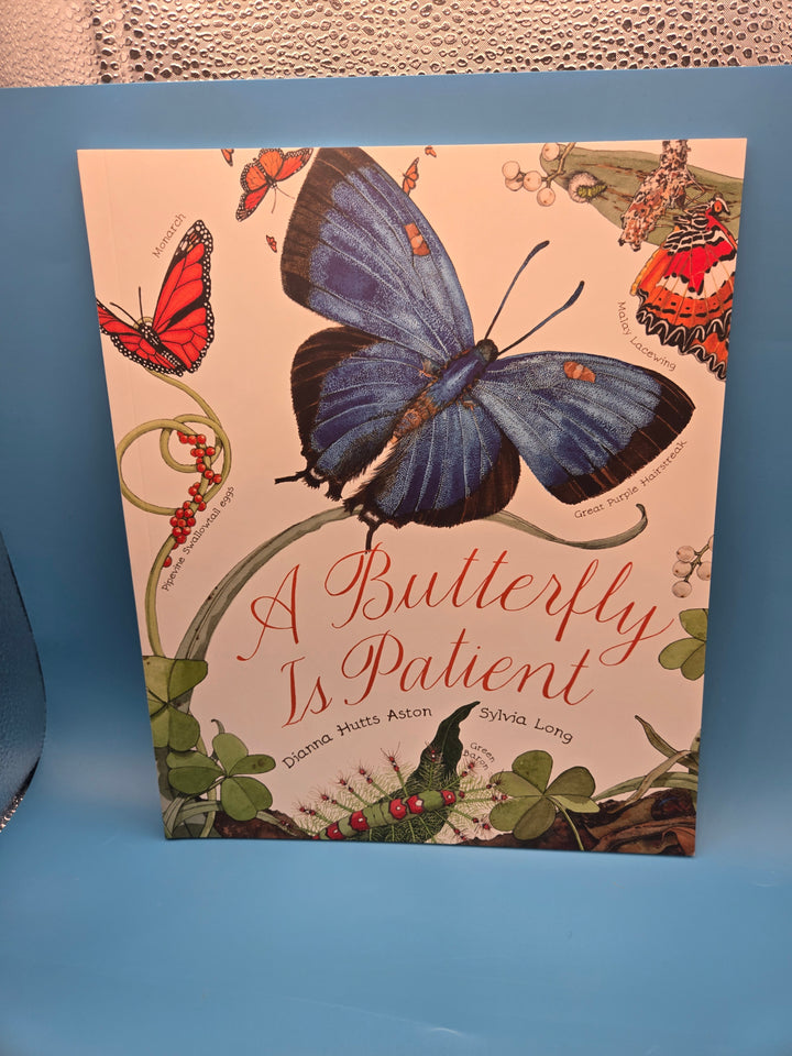 Metamorphosis Magic: A Reading Box of Transformation!