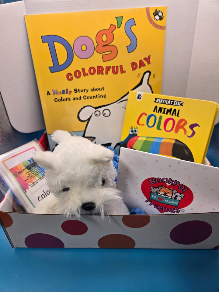 Bold Color Discovery Box Preschool Age (3-4)