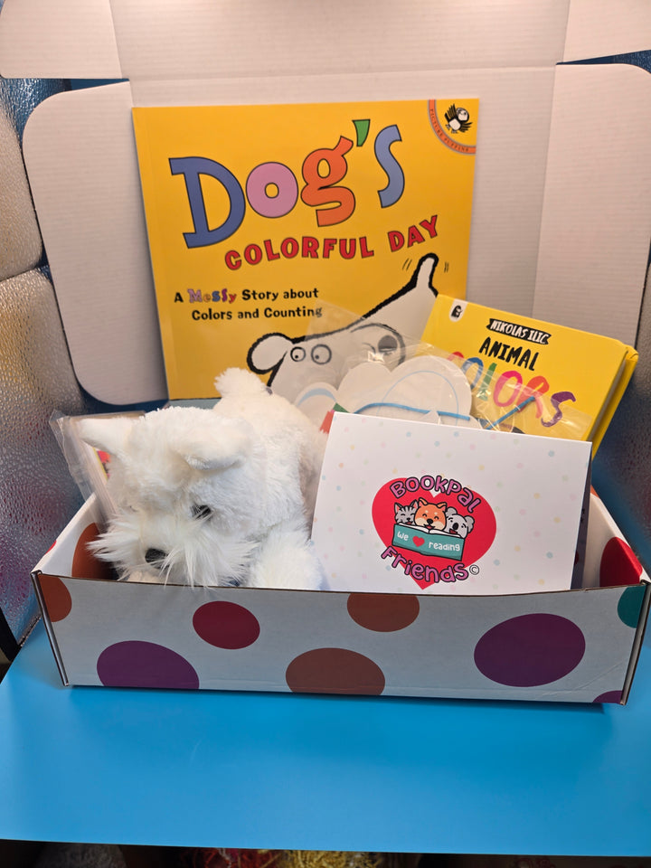 Bold Color Discovery Box Preschool Age (3-4)