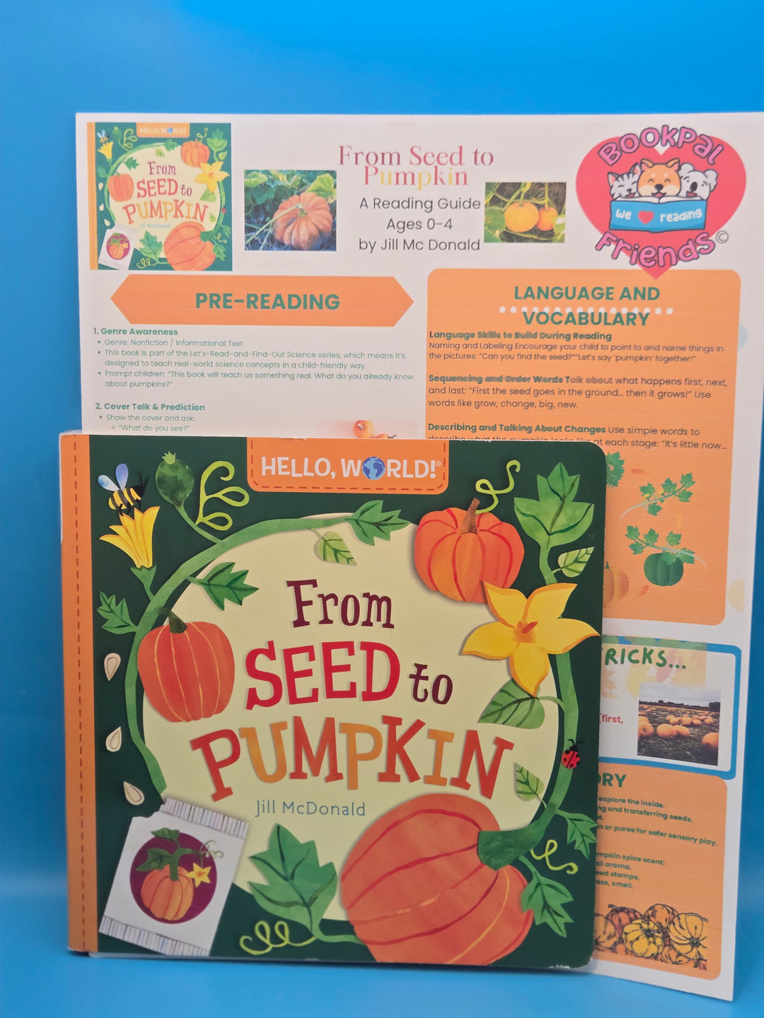 Pumpkin Patch Playtime Preschool Age (3-4)