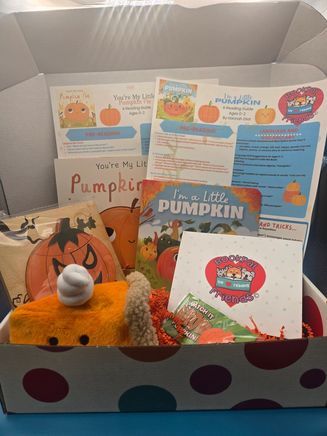 Pumpkin Snuggles Box for Infants and Toddlers Ages 0-2