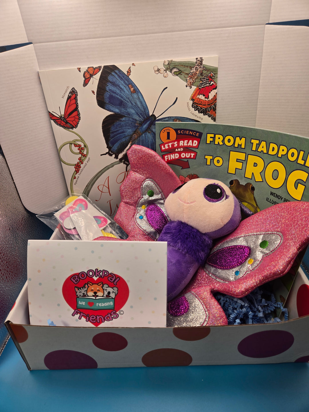 Metamorphosis Magic: A Reading Box of Transformation!
