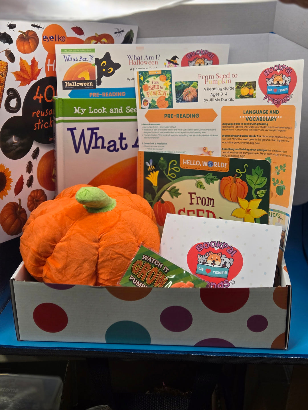 Pumpkin Patch Playtime Preschool Age (3-4)