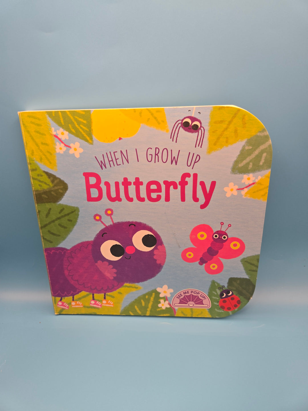 🦋 "Little Wings Book Box" Infants and Toddlers Ages 0-2